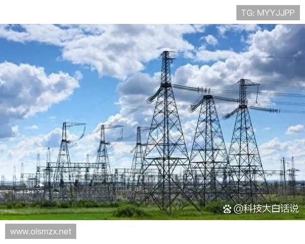 帕尔默大赛表现稳定性与上限分析